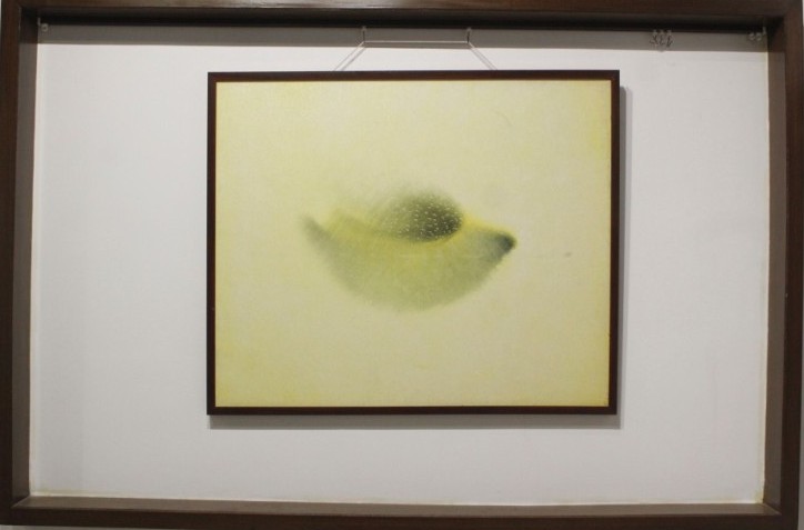 Gurukula Public School Vakwady Saadrushya art Gallery inaugurated and Swami Vivekananda Statue inaugurated (11)