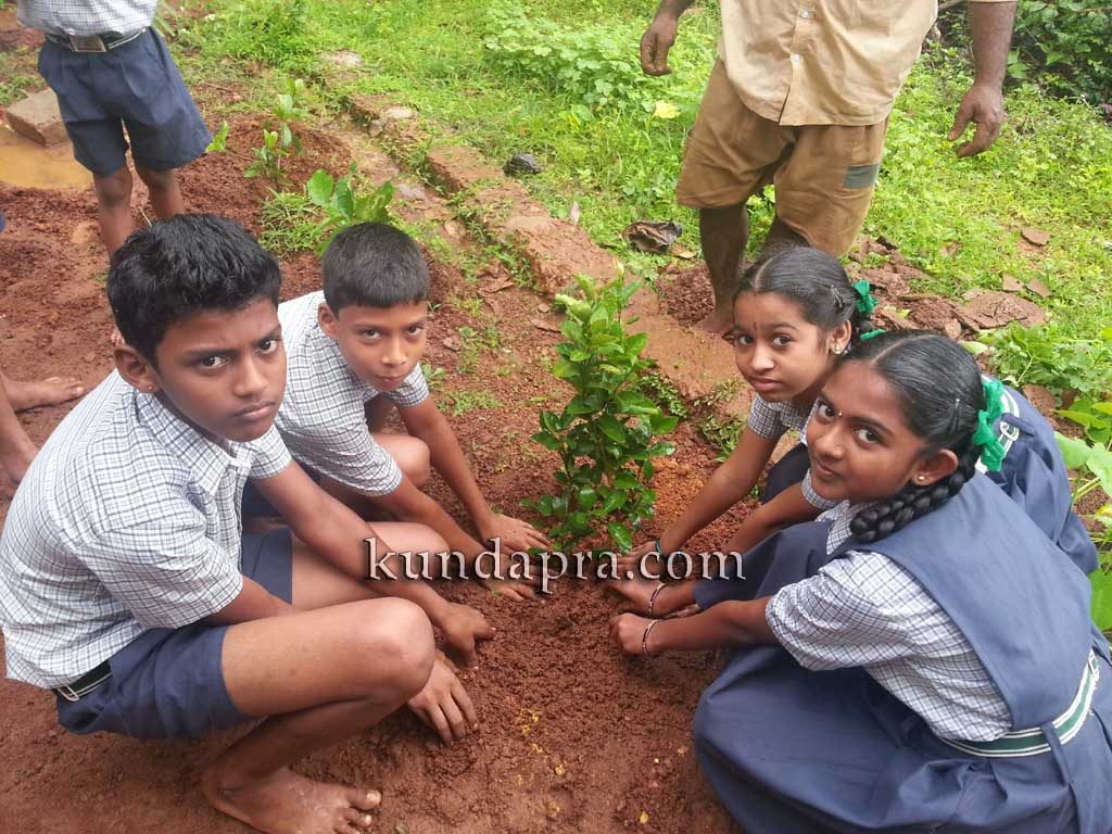 news vanamahotsava Kusuma homes1