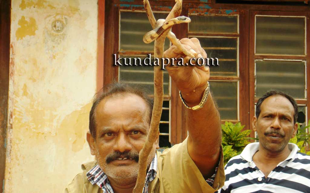 news sneke incident in kundapura1