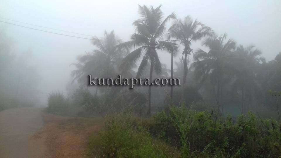 fog-in-tallur-copy