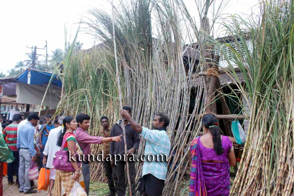 kodi-habba-2016-koteshwara-kotilingeshwara-temple-manmaha-ratotsava-14