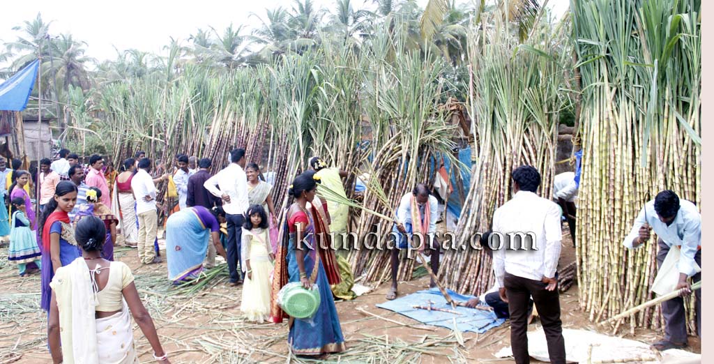 uppunda-kodihabba-sri-durgaparameshwari-rathotsava-40