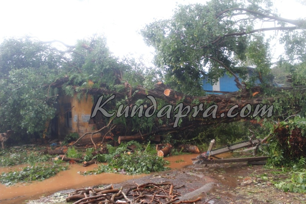 ಗಾಳಿ ಮಳೆ: ಅಲ್ಲಿಲ್ಲ ಅಪಾರ ಹಾನಿ