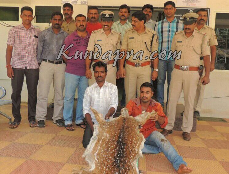 ಜಿಂಕೆ ಚರ್ಮ ಸಾಗಿಸುತ್ತಿದ್ದ ಈರ್ವರ ಬಂಧನ