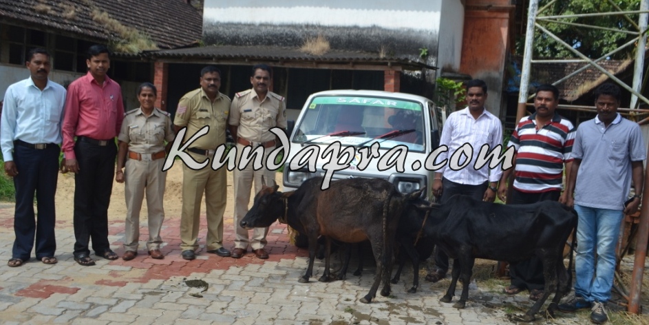 ಅಕ್ರಮ ಗೋ ಸಾಗಾಟ: ಆರೋಪಿಗಳು ಪರಾರಿ