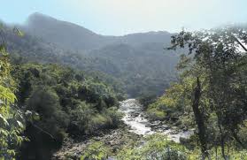 ಶಂಕರನಾರಾಯಣ ವಲಯದ 5 ಗ್ರಾಮಗಳಿಗೆ ಮತ್ತೆ ಕಸ್ತೂರಿ ರಂಗನ್ ವರದಿಯ ಆತಂಕ