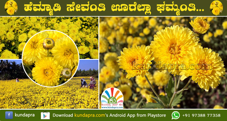 ಹೆಮ್ಮಾಡಿ ಸೇವಂತಿ ಊರೆಲ್ಲಾ ಘಮ್ಮಂತಿ…