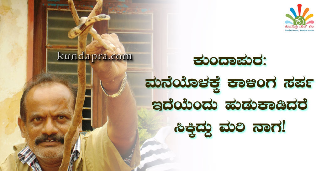 ಕುಂದಾಪುರ: ಮನೆಯೊಳಕ್ಕೆ ಕಾಳಿಂಗ ಸರ್ಪ ಇದೆಯೆಂದು ಹುಡುಕಾಡಿದರೆ ಸಿಕ್ಕಿದ್ದು ಮರಿ ನಾಗ!