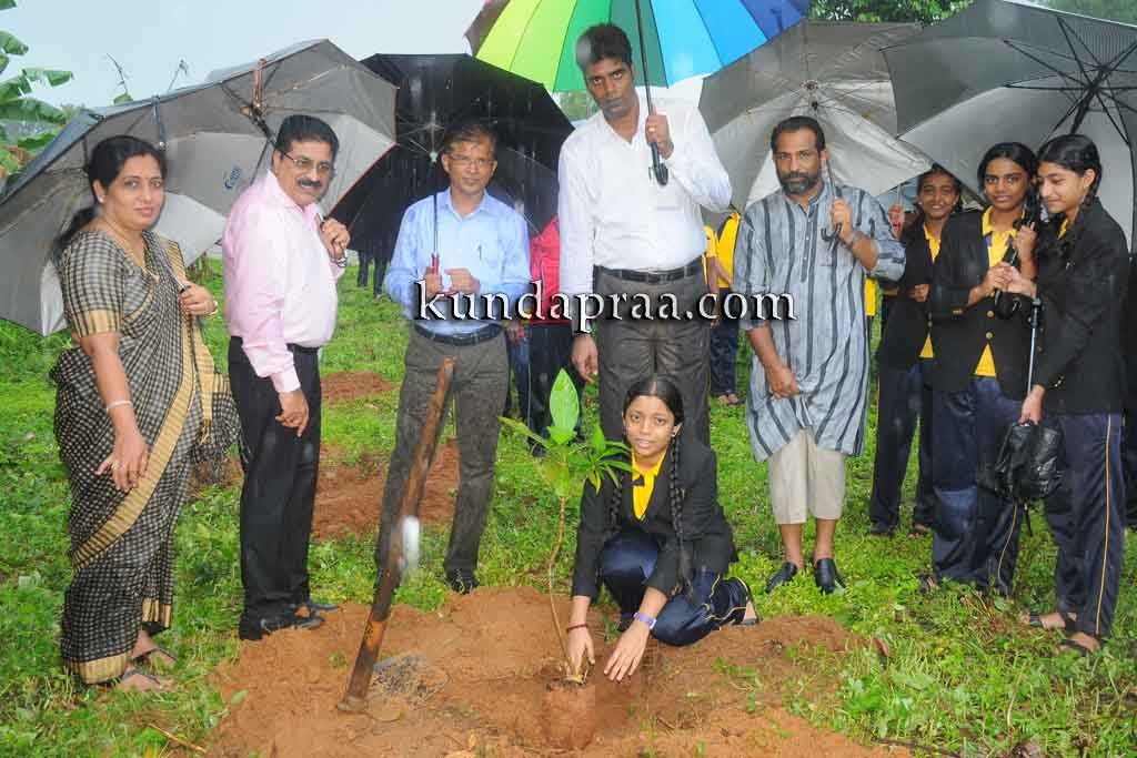 ಪರಿಸರ ಅಸಮತೋಲನ ಪ್ರಾಕೃತಿಕ ವಿಕೋಪಕ್ಕೆ ನಾಂದಿ: ಗುರುಕುಲದಲ್ಲಿ ಹಸಿರಿನ ಹಬ್ಬದಲ್ಲಿ ಎಮ್. ವಿ. ಅಮರನಾಥ