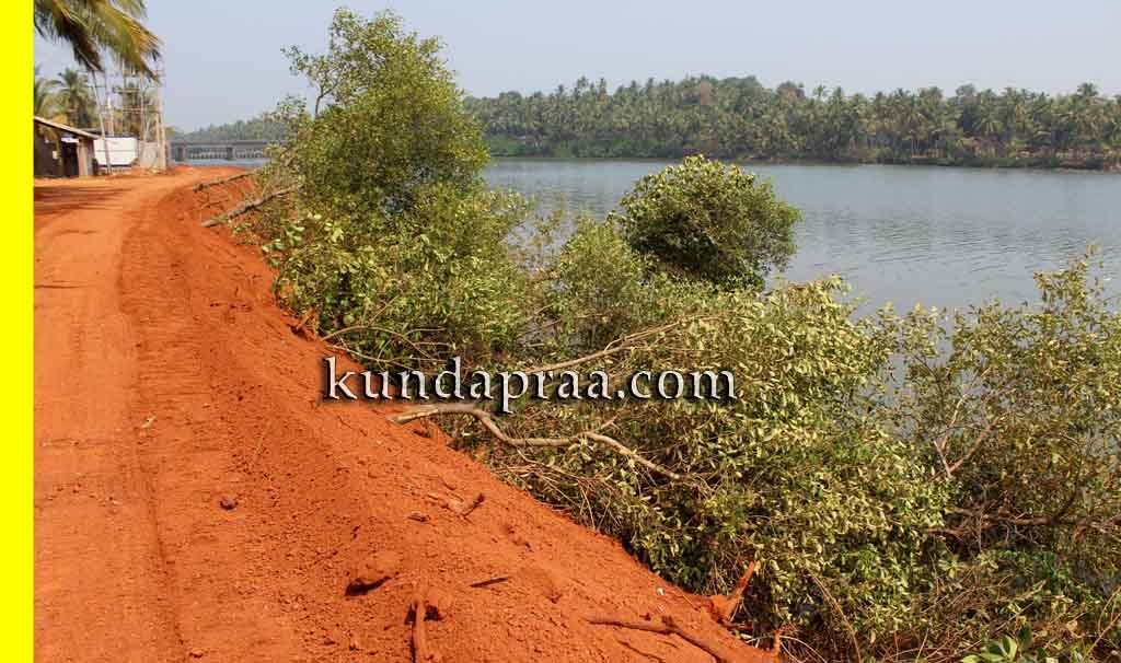 ಹೊಸಾಡು ನದಿತೀರ ಅತಿಕ್ರಮಿಸಿ ರಸ್ತೆ ನಿರ್ಮಾಣ, ಕಾಂಡ್ಲಾ ನಾಶ: ಆಕ್ರೋಶ
