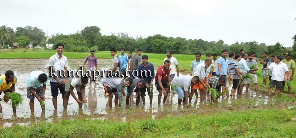 ಕಟ್ಕೆರೆ: ಹಡಿಲು ಬಿದ್ದ ಭೂಮಿಯಲ್ಲಿ ಕ್ರೀಡಾಕೂಟ ಹಾಗೂ ನಾಟಿ