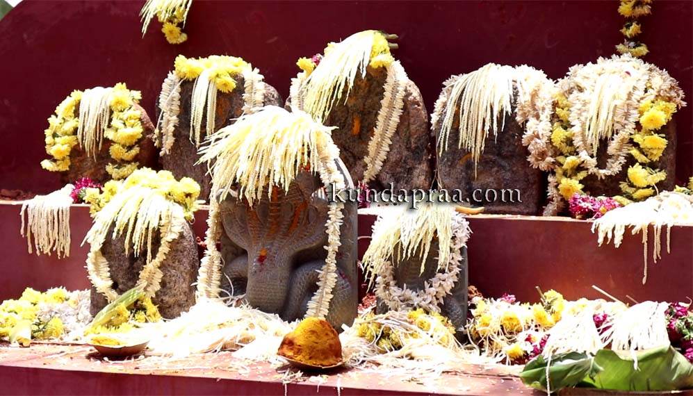 ಯಡ್ತರೆ ಪಾಣ್ತಿಗರಡಿ: ನಾಗ ದೇವರ ಪ್ರತಿಷ್ಠಾ ಮಹೋತ್ಸವ ಸಂಪನ್ನ