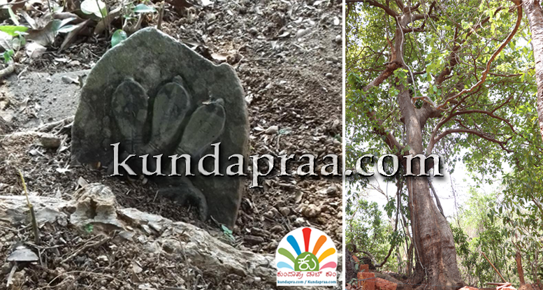 ಕೊರಗ ಸಮುದಾಯದ ಆರಾಧ್ಯ ದೈವ ಕಾಡ್ಯಾನಾಗ