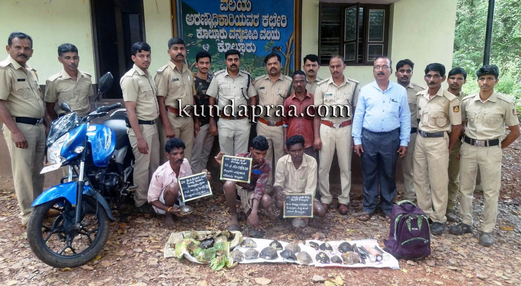 ಕೊಲ್ಲೂರು: 50 ಆಮೆ ಮತ್ತು ಕೂಮಾ ವಶಕ್ಕೆ. ಆರೋಪಿಗಳ ಬಂಧನ