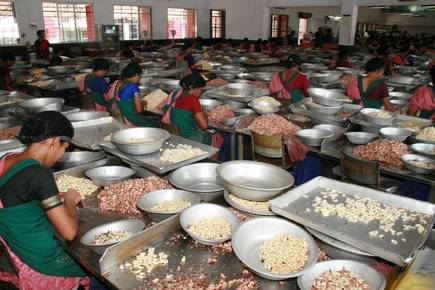 ಉಡುಪಿ ಜಿಲ್ಲೆ: ಗೇರು ಬೀಜ ಸಂಸ್ಕರಣಾ ಘಟಕ ಆರಂಭಕ್ಕೆ ಷರತ್ತು ಬದ್ದ ಅನುಮತಿ