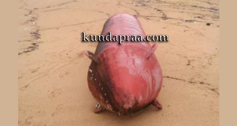 ಕಳಿಹಿತ್ಲು ಸಮುದ್ರ ತೀರದಲ್ಲಿ ಕ್ಷಿಪಣಿ ಮಾದರಿಯ ಉಪಕರಣ ಪತ್ತೆ
