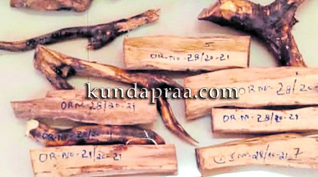 ರಿಕ್ಷಾದಲ್ಲಿ ಗಂಧದ ಕೊರಡು: ಆರೋಪಿ ಬಂಧನ, ವಾಹನ ವಶ