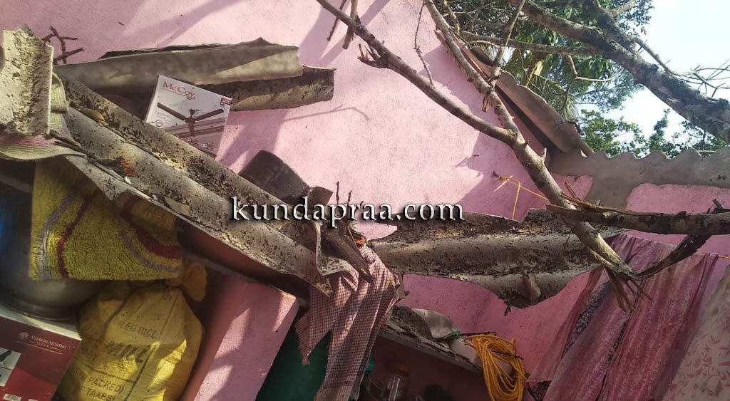 ಮನೆ ಮೇಲೆ ಭಾರೀ ಗಾತ್ರದ ಮರ ಉರುಳಿ ಅಪಾರ ಹಾನಿ