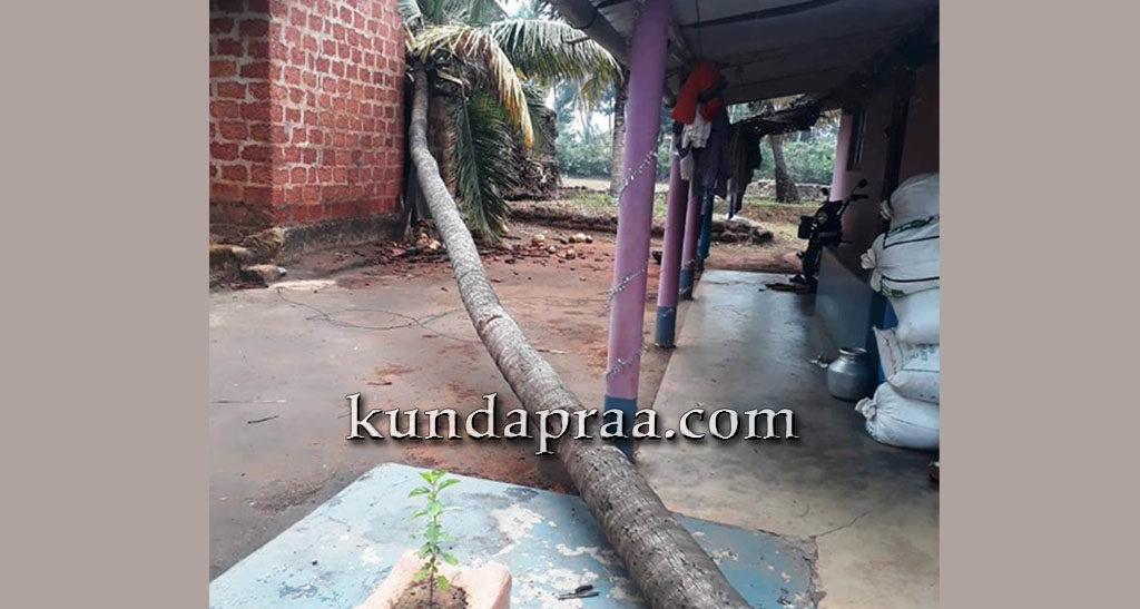 ಗಾಳಿ ಮಳೆಗೆ ಮರ ಉರುಳಿ ಅಪಾರ ಹಾನಿ