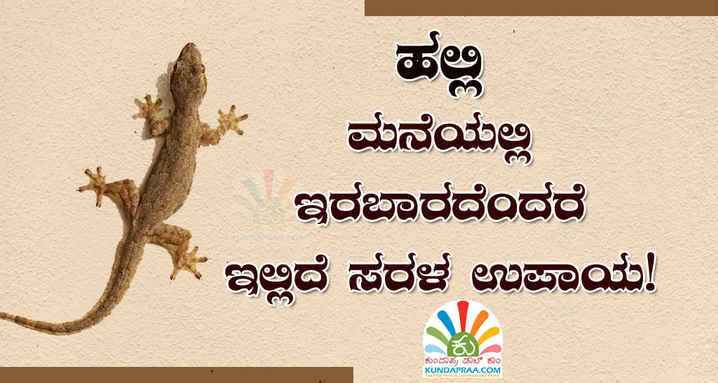 ಹಲ್ಲಿ ಮನೆಯಲ್ಲಿರಬಾರದೆಂದರೆ ಇಲ್ಲಿದೆ ಸರಳ ಉಪಾಯ!