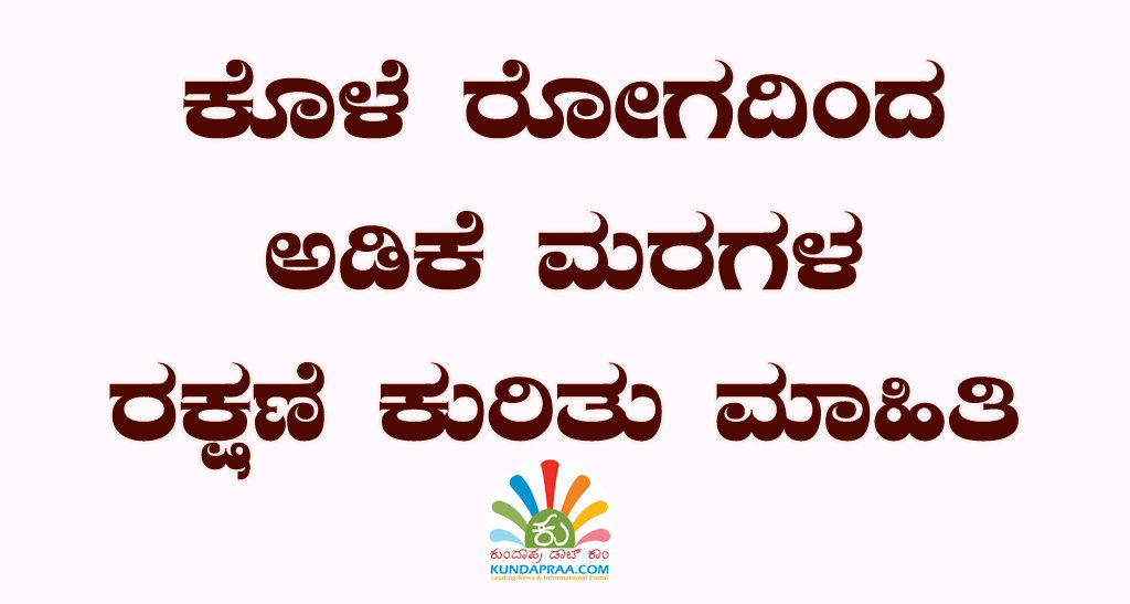ಕೊಳೆ ರೋಗದಿಂದ ಅಡಿಕೆ ಮರಗಳ ರಕ್ಷಣೆ ಕುರಿತು ಮಾಹಿತಿ