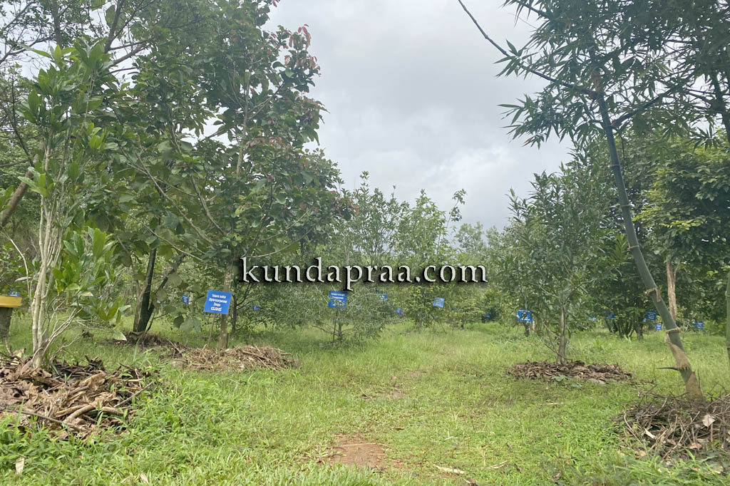 ಆಳ್ವಾಸ್ ಇಂಜಿನಿಯರಿಂಗ್ ಕಾಲೇಜಿನ ಹರೀಶ್ ಭಟ್ ಪಕ್ಷಿವನ ಆಕ್ಟ್ ಟು ರಿಸ್ಟೋರ್ ಅಭಿಯಾನಕ್ಕೆ ಆಯ್ಕೆ