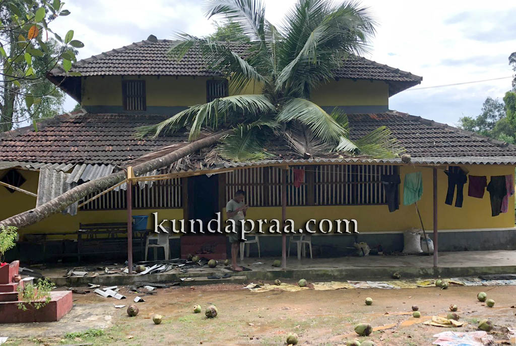 ಗಾಳಿ ಮಳೆಗೆ ಮನೆ ಮೇಲೆ ಮರ ಬಿದ್ದು ಅಪಾರ ಹಾನಿ