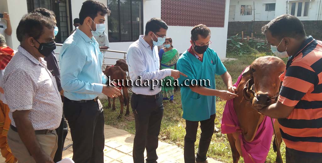 ಮೂಕ ಪ್ರಾಣಿಗಳ ನೋವು ಅರಿತು ಚಿಕಿತ್ಸೆ ನೀಡಿ: ಜಿಲ್ಲಾಧಿಕಾರಿ