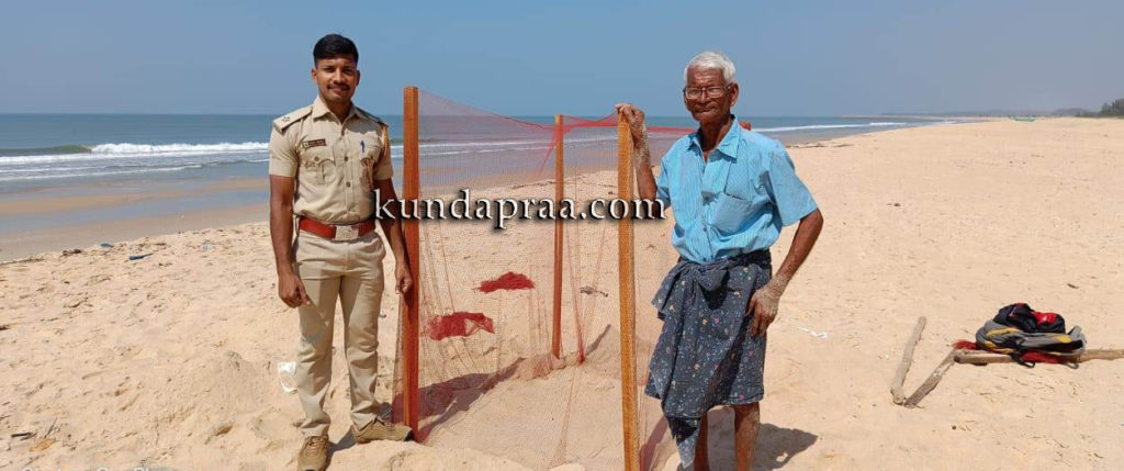 ಕೋಡಿ: ಕಡಲಾಮೆ ಮೊಟ್ಟೆ ಪತ್ತೆ, ಹ್ಯಾಚರ್ ಮೂಲಕ ರಕ್ಷಣೆ