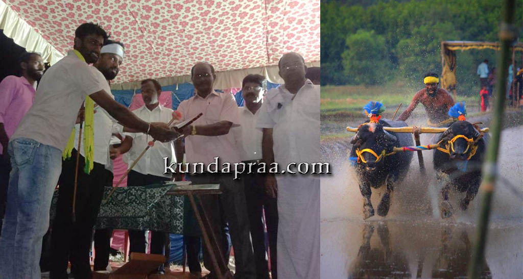 ವಿಜೃಂಭಣೆಯಿಂದ ಜರಗಿದ ಕೊಡೇರಿ ಕಂಬಳೋತ್ಸವ