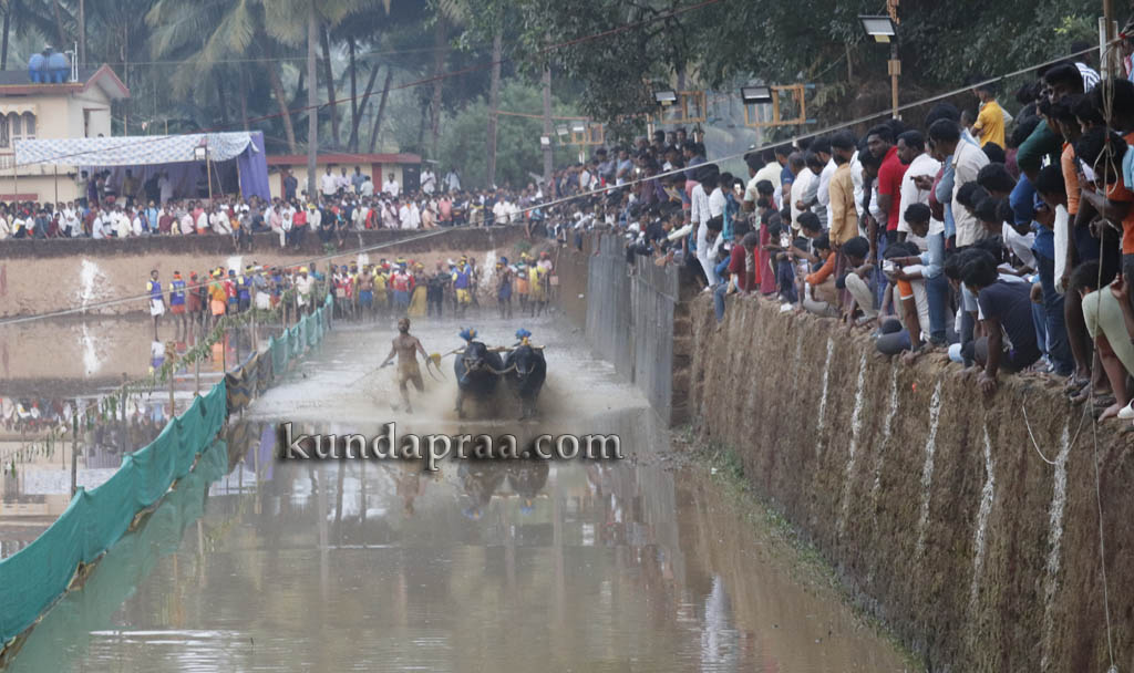 ಸಂಭ್ರಮದಿಂದ ಜರುಗಿದ ಪ್ರಸಿದ್ಧ ತಗ್ಗರ್ಸೆ ಕಂಬಳೋತ್ಸವ, ಬಹುಮಾನ ವಿತರಣೆ