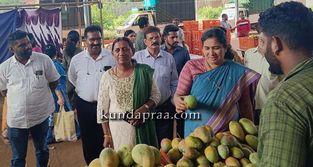 ಉಡುಪಿ: ಮಾವಿನ ಮೇಳದಲ್ಲಿ ವಿವಿಧ ತಳಿಯ ತಜಾ ಮಾವಿನ ಹಣ್ಣುಗಳ ಘಮ