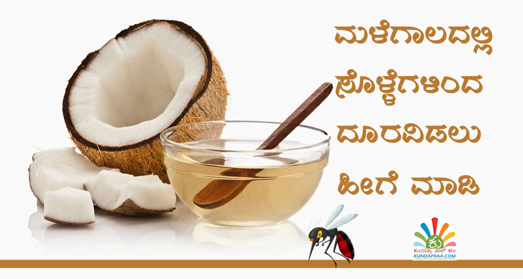 ಮಳೆಗಾಲದಲ್ಲಿ ಸೊಳ್ಳೆಗಳಿಂದ ದೂರವಿಡಲು ಹೀಗೆ ಮಾಡಿ
