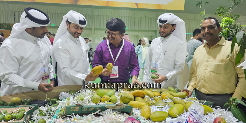 ಕತಾರಿನ ದೋಹಾದಲ್ಲಿ ಯಶ್ವಸಿಯಾಗಿ ನಡೆದ ಮಾವಿನ ಮೇಳ