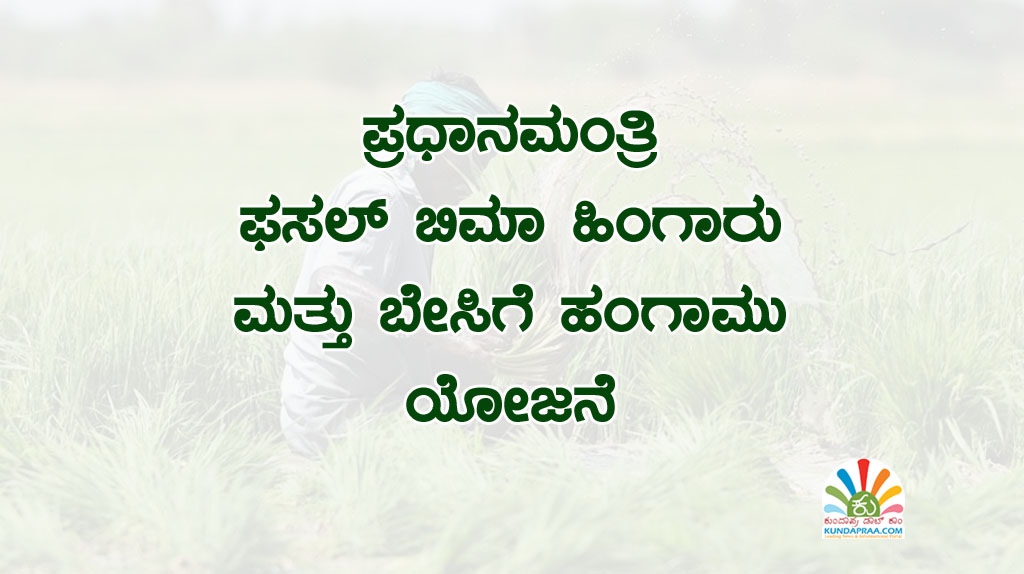ಪ್ರಧಾನಮಂತ್ರಿ ಫಸಲ್ ಬಿಮಾ ಹಿಂಗಾರು ಮತ್ತು ಬೇಸಿಗೆ ಹಂಗಾಮು ಯೋಜನೆ