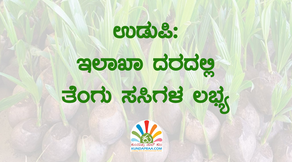 ಉಡುಪಿ: ಇಲಾಖಾ ದರದಲ್ಲಿ ತೆಂಗು ಸಸಿಗಳ ಲಭ್ಯ