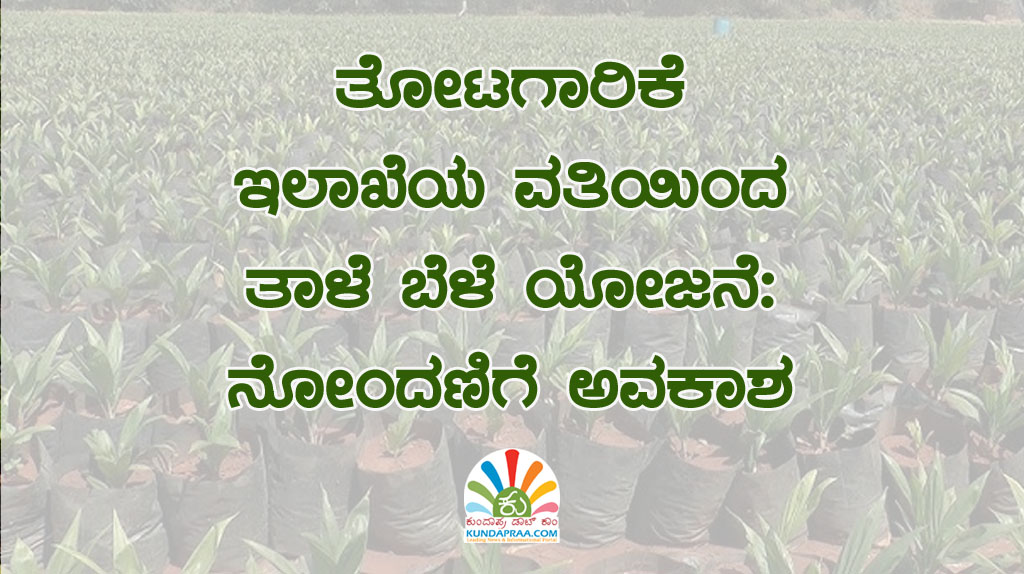 ತೋಟಗಾರಿಕೆ ಇಲಾಖೆಯ ವತಿಯಿಂದ ತಾಳೆ ಬೆಳೆ ಯೋಜನೆ: ನೋಂದಣಿಗೆ ಅವಕಾಶ