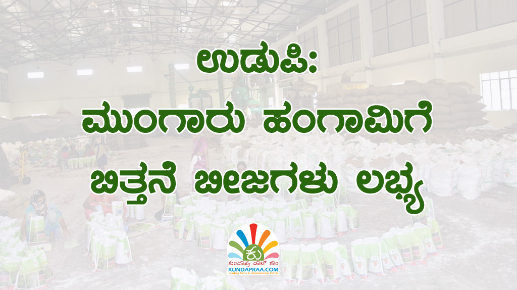 ಉಡುಪಿ: ಮುಂಗಾರು ಹಂಗಾಮಿಗೆ ಬಿತ್ತನೆ ಬೀಜಗಳು ಲಭ್ಯ