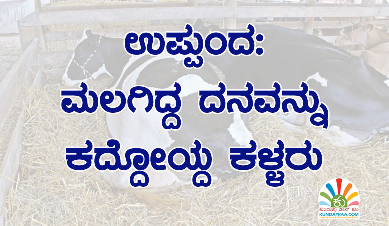 ಉಪ್ಪುಂದ: ಮಲಗಿದ್ದ ದನವನ್ನು ಕದ್ದೋಯ್ದ ಕಳ್ಳರು