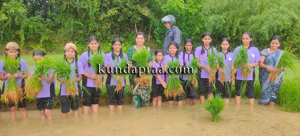 ಕುಂದಾಪುರ: ಗದ್ದೆಗಿಳಿದು ಕೃಷಿ ಪಾಠ ಕಲಿತ ತುಳಸಿ ವಿದ್ಯಾ ಮಂದಿರದ ವಿದ್ಯಾರ್ಥಿಗಳು