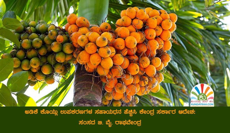 ಅಡಿಕೆ ಕೊಯ್ಲು ಉಪಕರಣಗಳ ಸಹಾಯಧನ ಹೆಚ್ಚಿಸಿ ಕೇಂದ್ರ ಸರ್ಕಾರ ಆದೇಶ: ಸಂಸದ ಬಿ.ವೈ. ರಾಘವೇಂದ್ರ