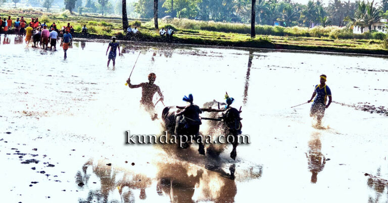 ಮನೋರಂಜಿಸಿದ ಸಾಂಪ್ರದಾಯಿಕ ಮಣೂರು ಕಂಬಳ